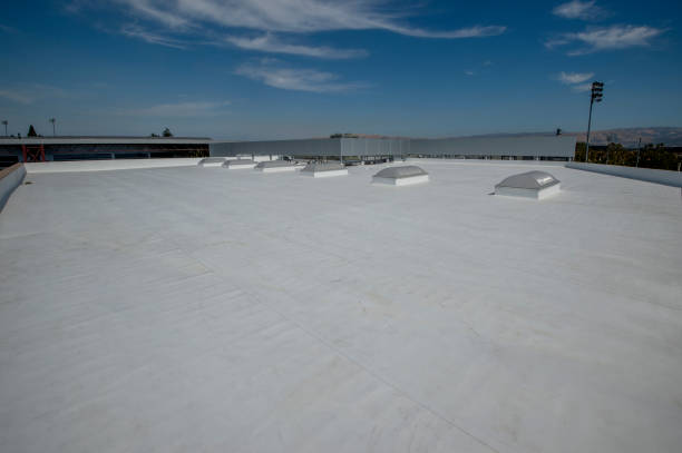 Best Roof Insulation Installation  in Catonsville, MD